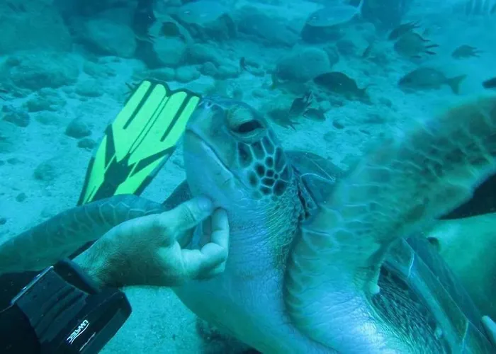 Cristianos Holidays プラヤ・デ・ラス・アメリカス